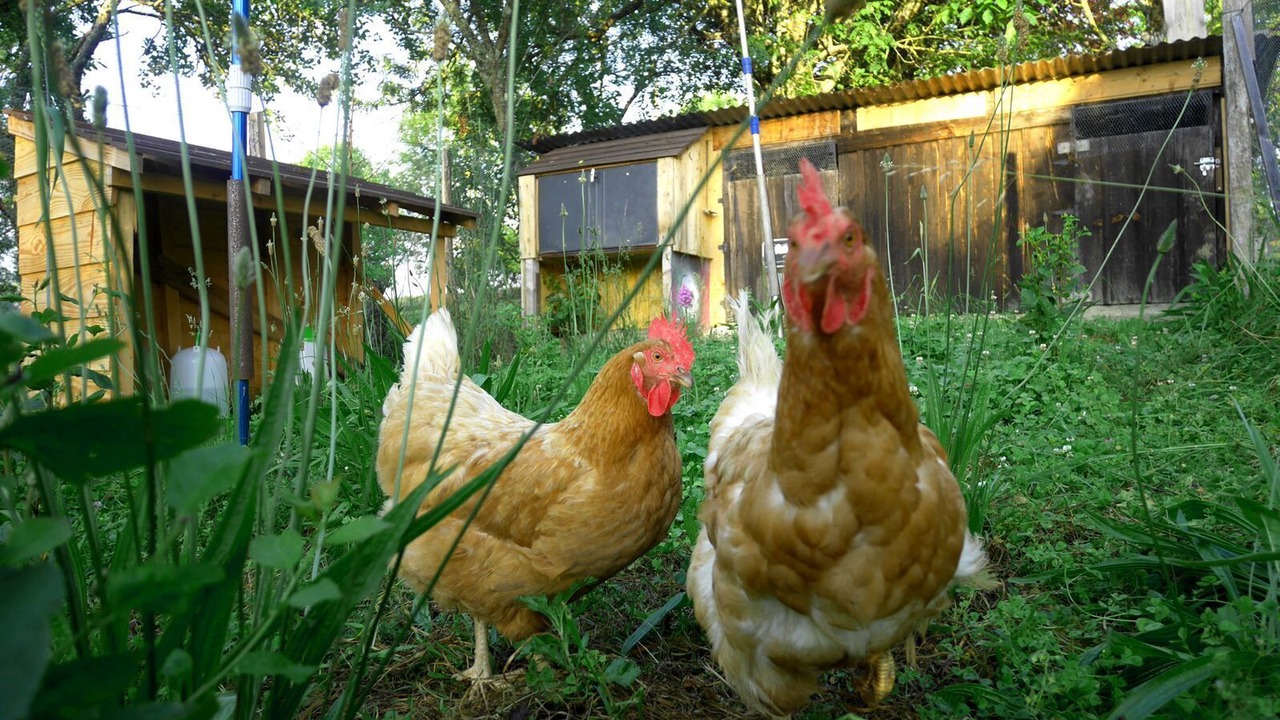 Photo of Outdoor in Lartigue