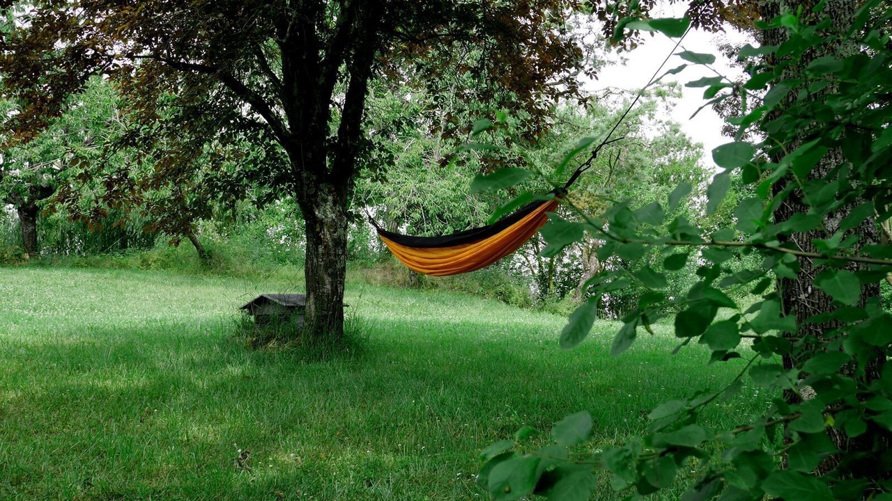 Photo of Outdoor in Lartigue