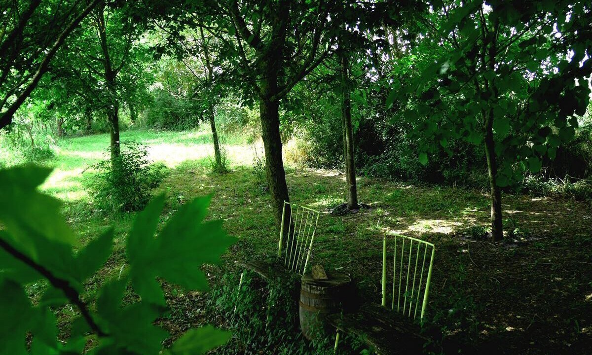 Photo of Outdoor in Lartigue