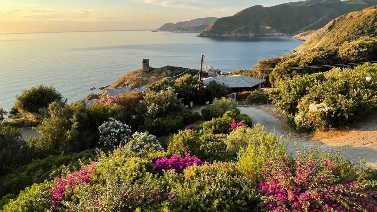 Photo of Others in Pino