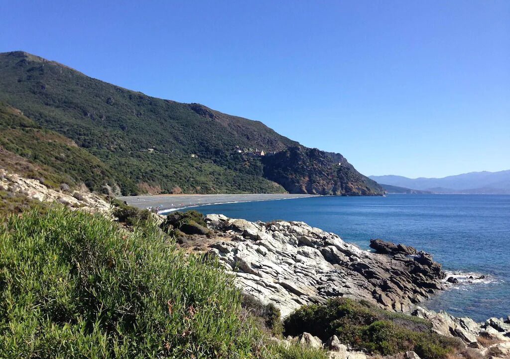 Photo of Others in Pino