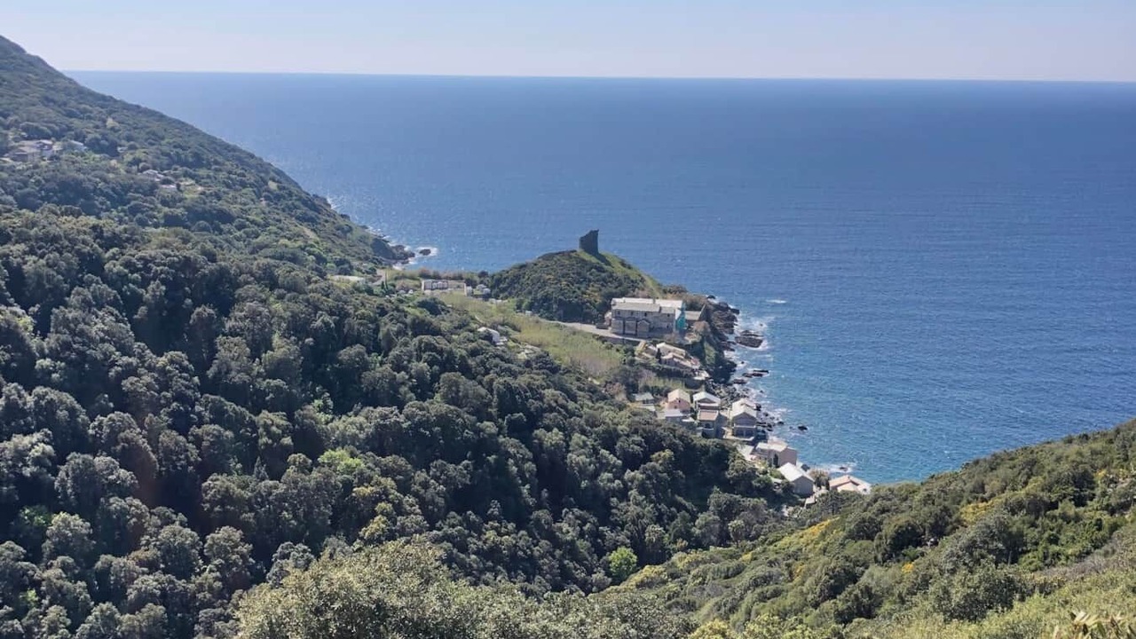 Photo of Others in Pino