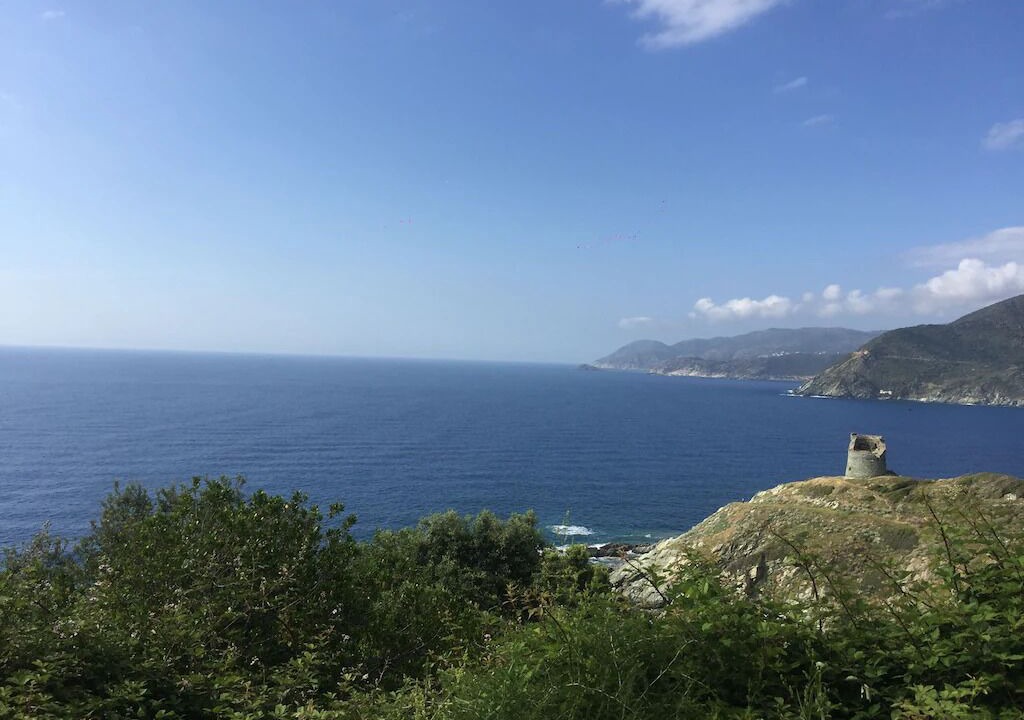 Photo of Others in Pino