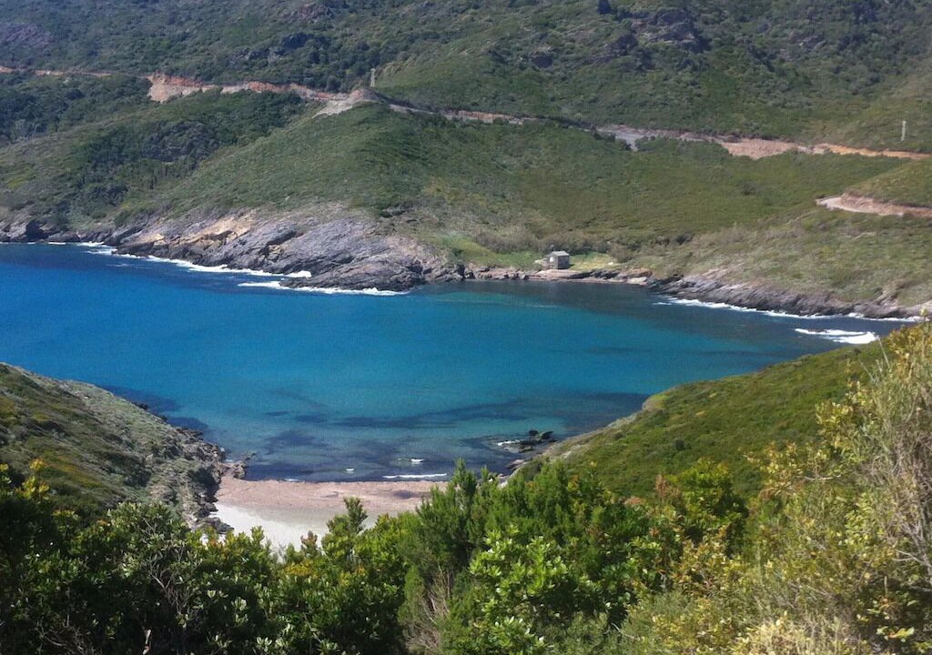 Photo of Others in Pino