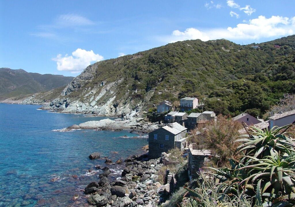 Photo of Others in Pino