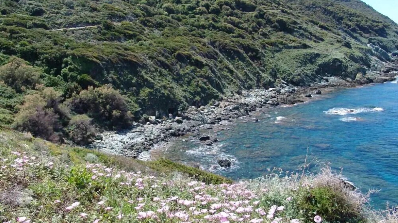 Photo of Others in Pino