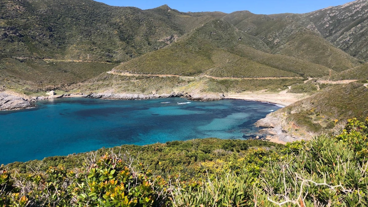 Photo of Others in Pino