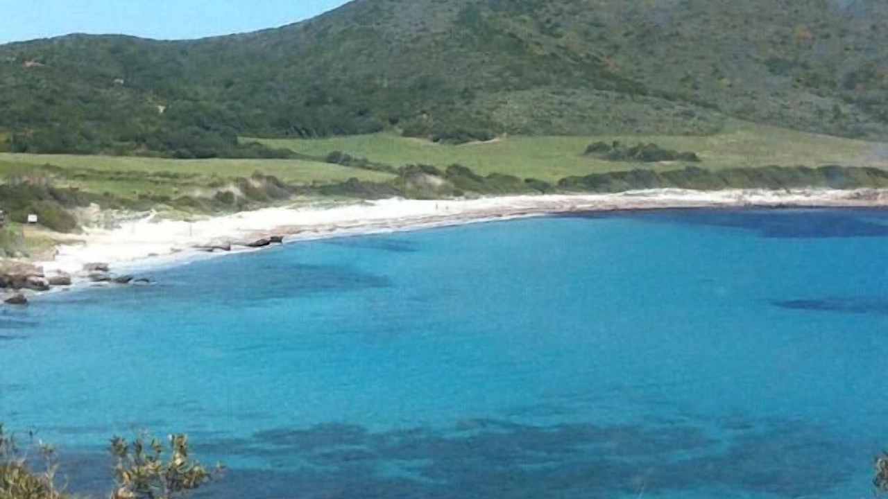 Photo of Others in Pino