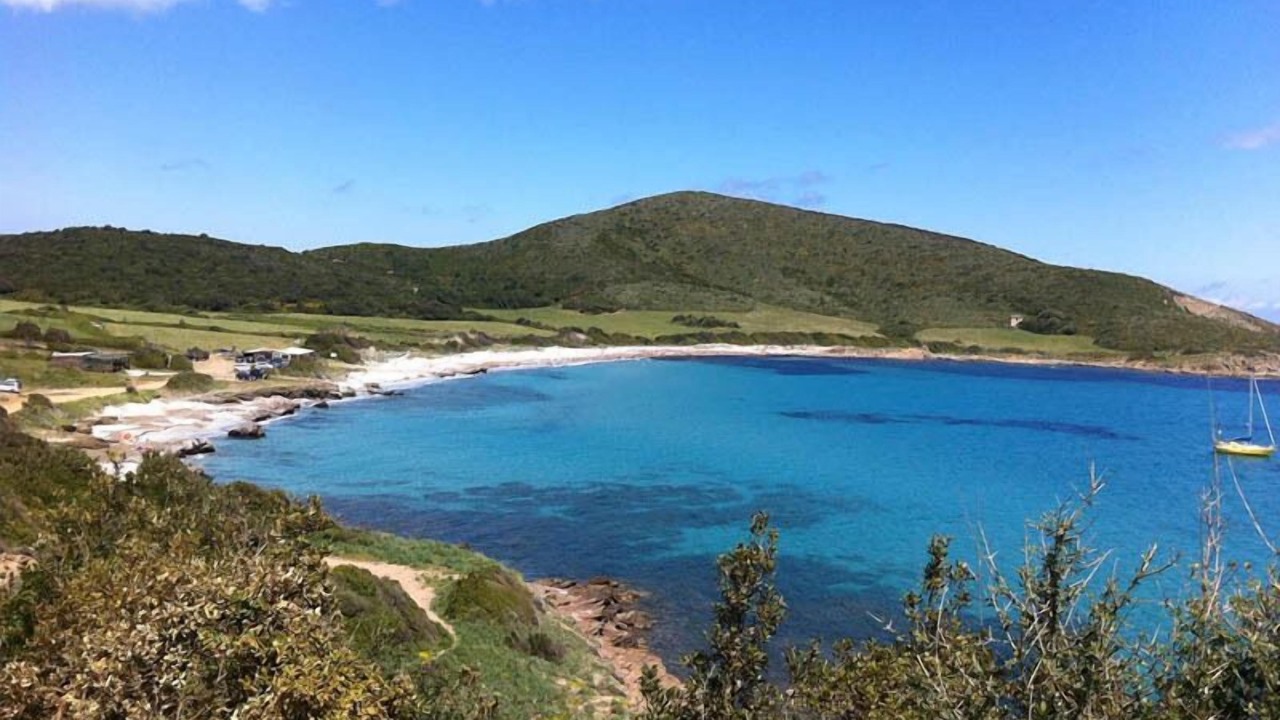 Photo of Others in Pino