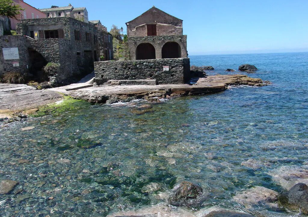 Photo of Others in Pino