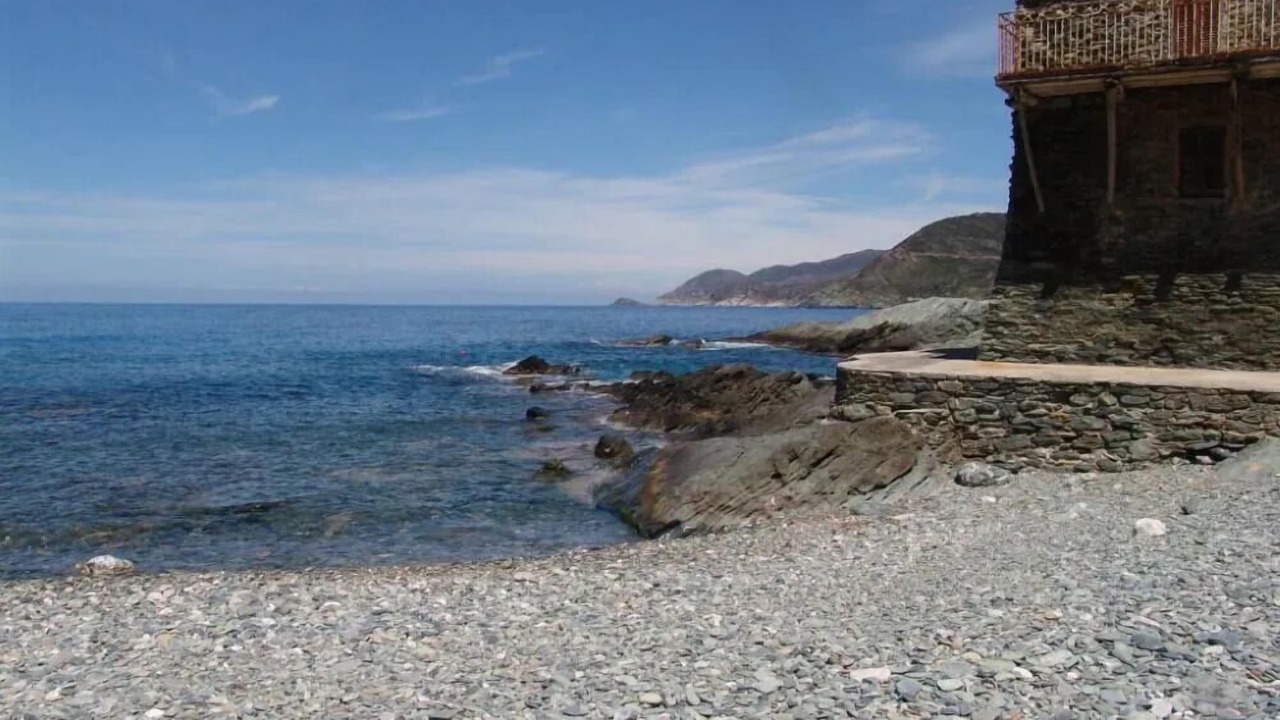 Photo of Others in Pino