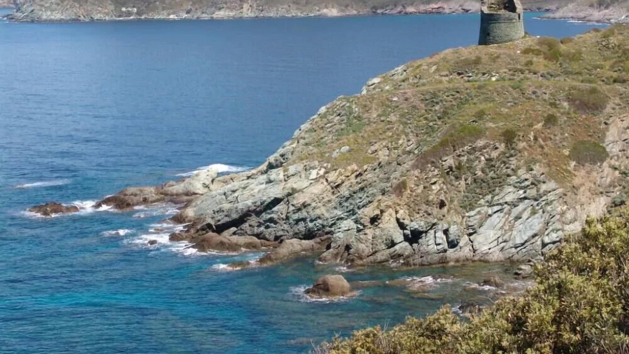 Photo of Others in Pino