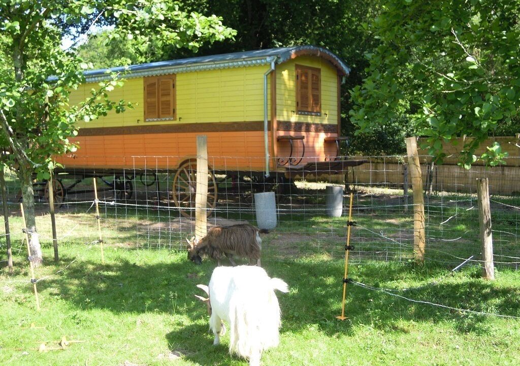 Photo of Outdoor in Grosbreuil