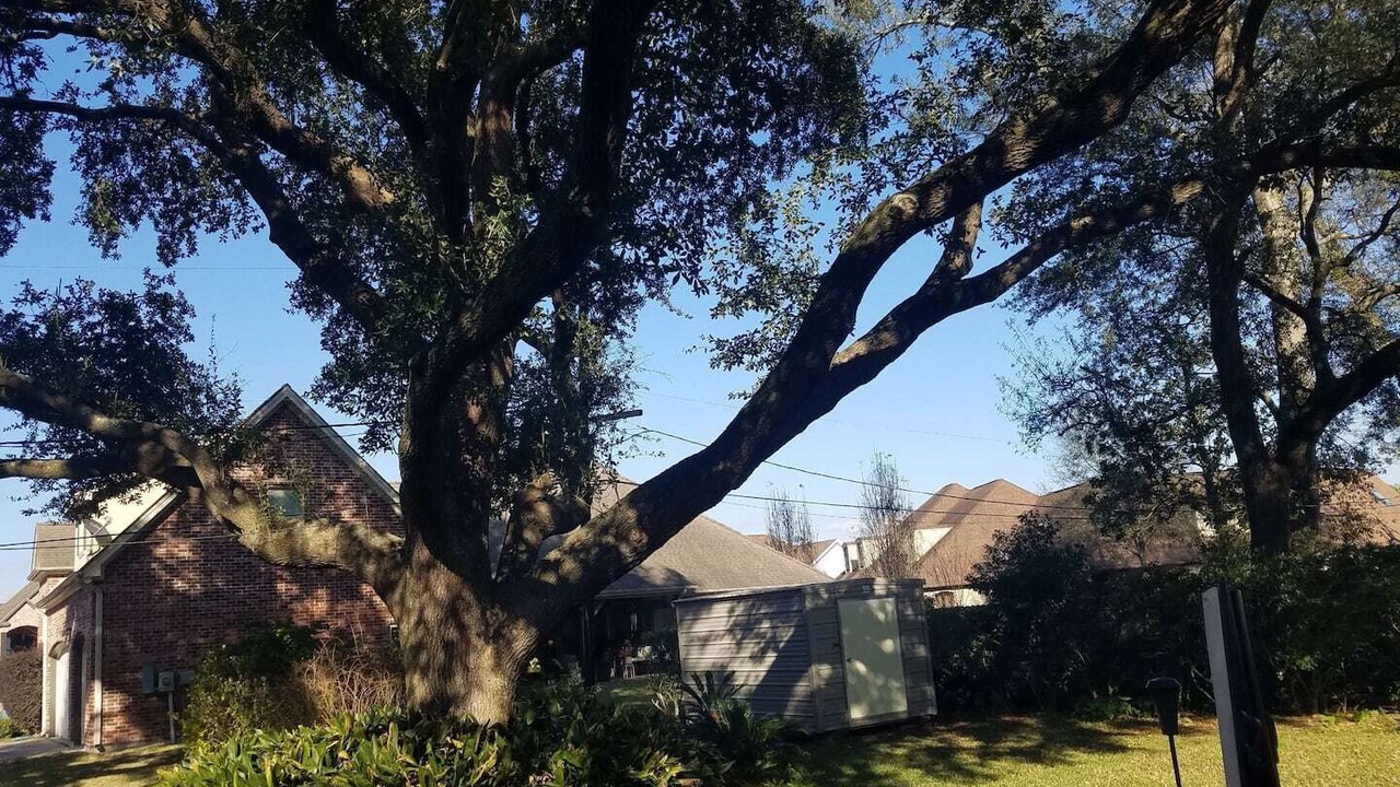 Photo of Others in Port Neches
