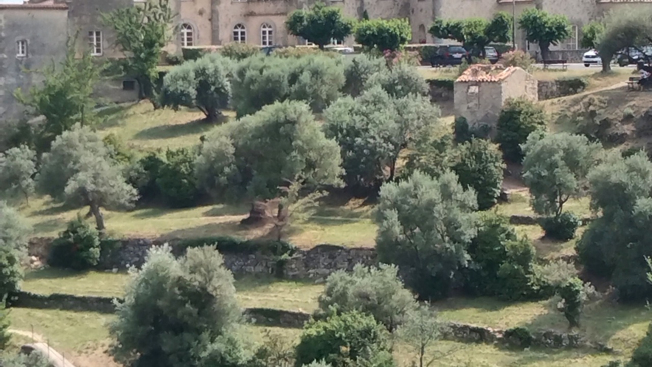 Photo of Outdoor in Fayence