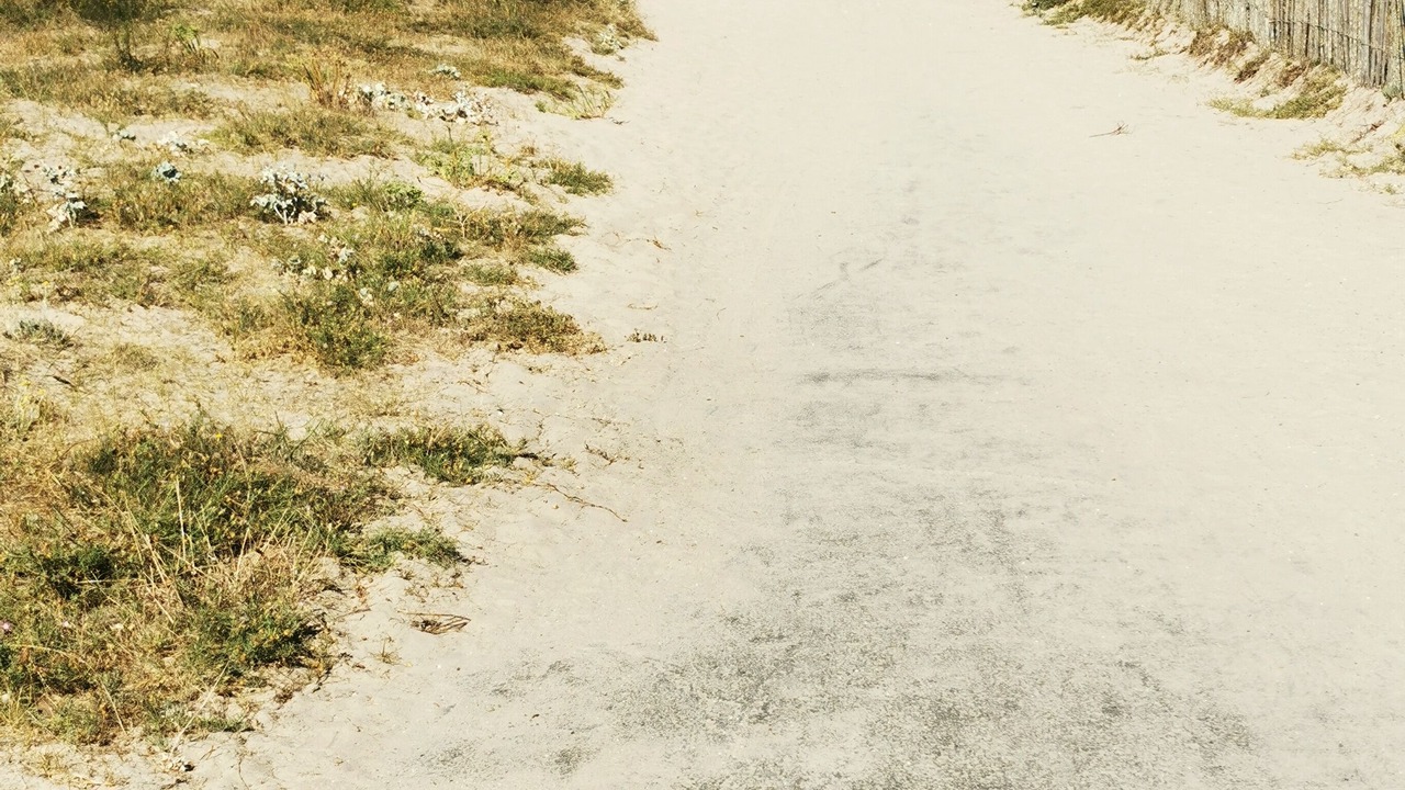 Photo of Others in Lesparre-Medoc