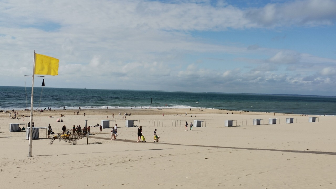 Photo of Others in Lesparre-Medoc
