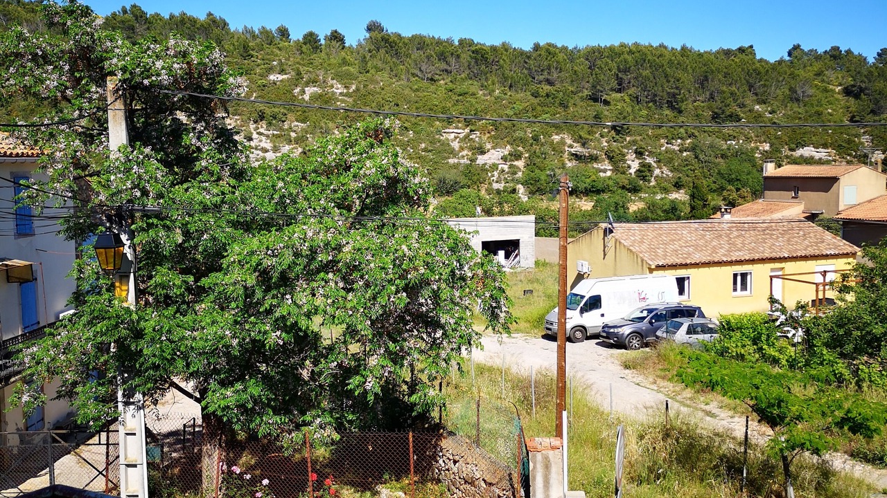 Photo of Outdoor in Beaufort