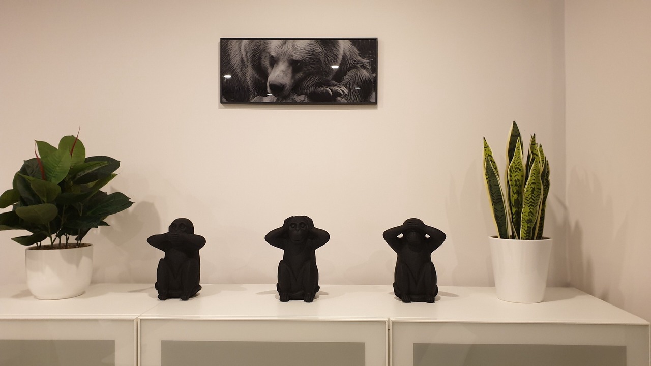 Photo of Others in Saint-Ouen-l'Aumone