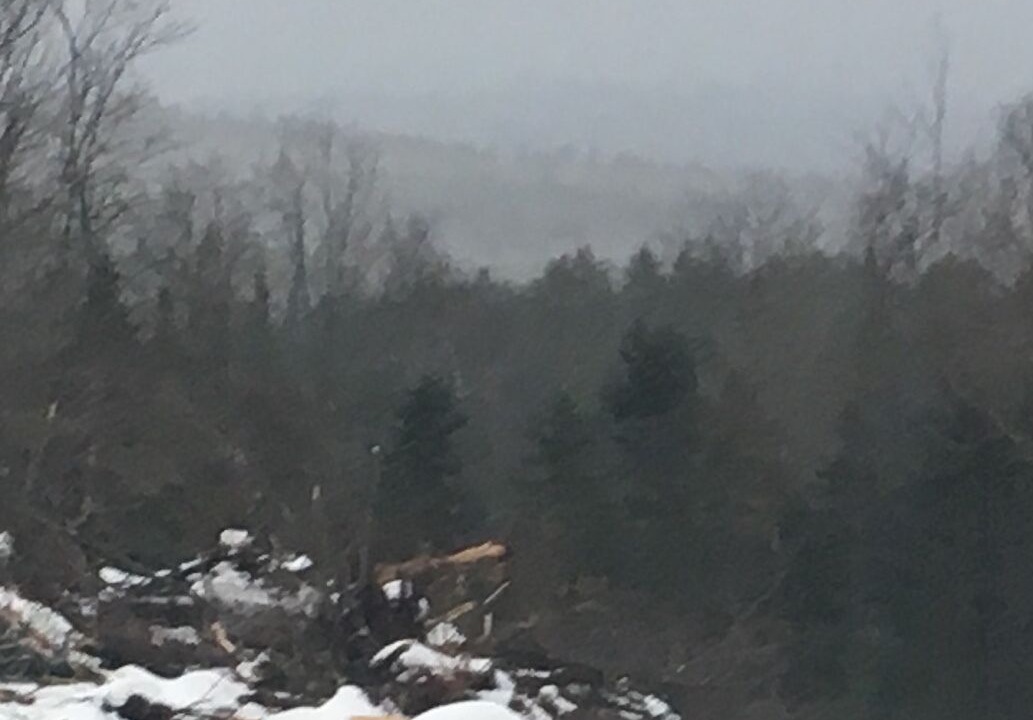 Photo of Outdoor in Londonderry