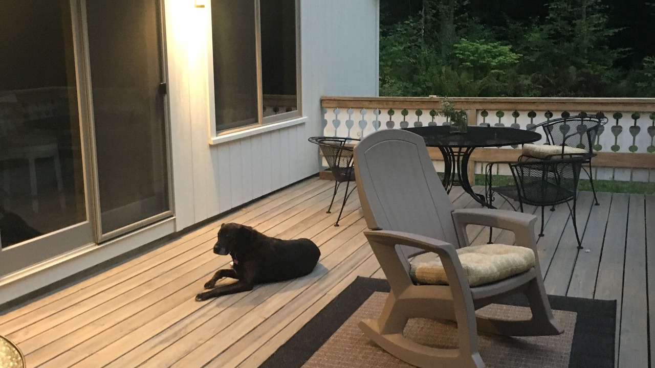 Photo of Outdoor in Londonderry