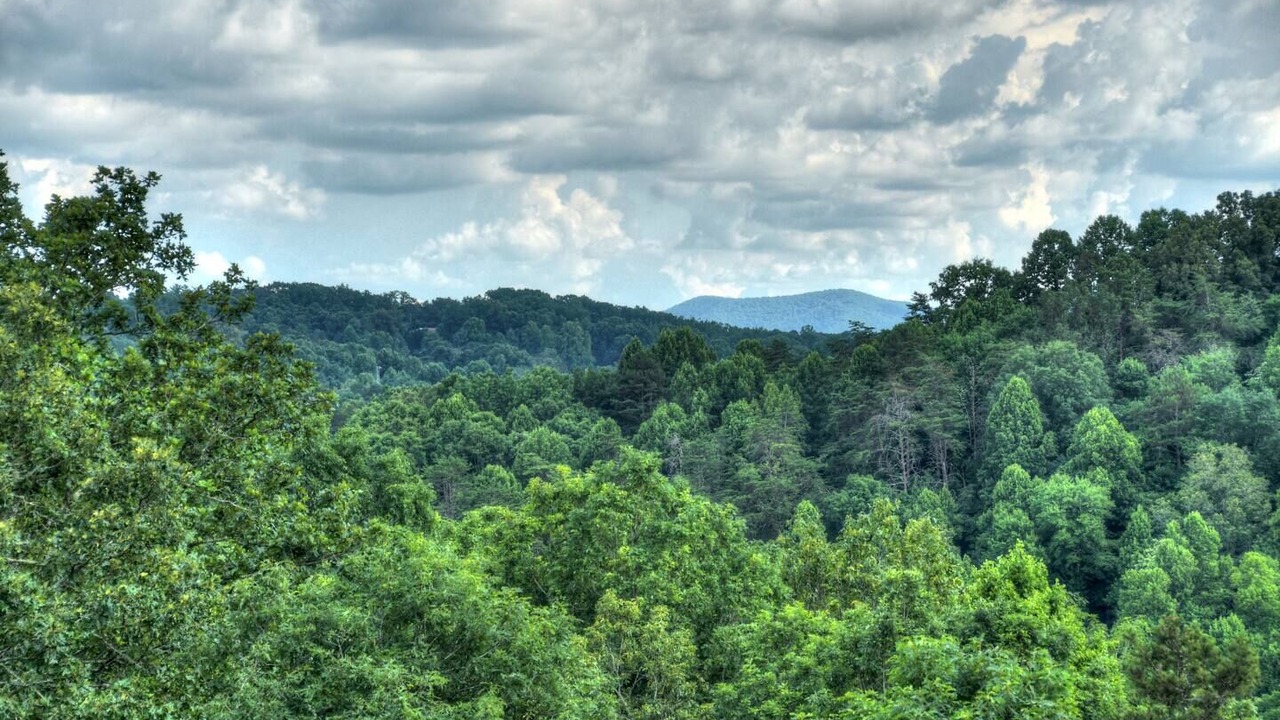 Photo of Others in Morganton