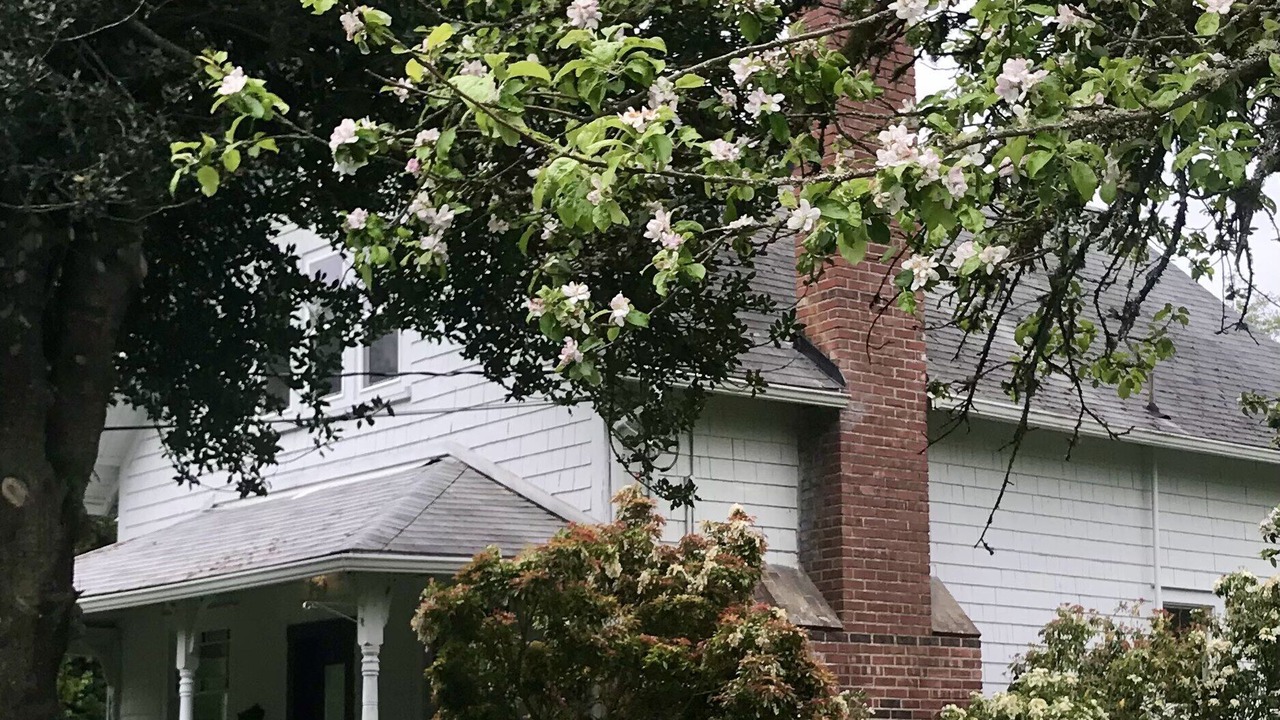 Photo of Outdoor in Vashon Island