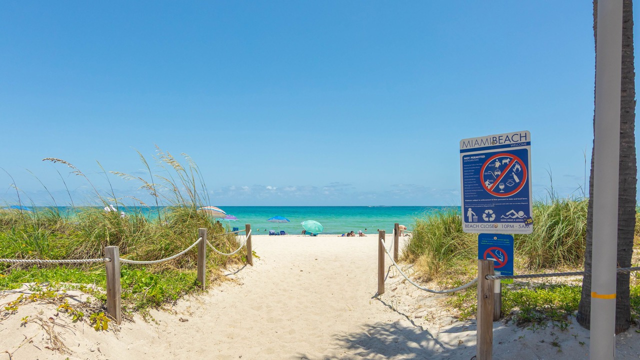 Photo of Others in Mid Beach