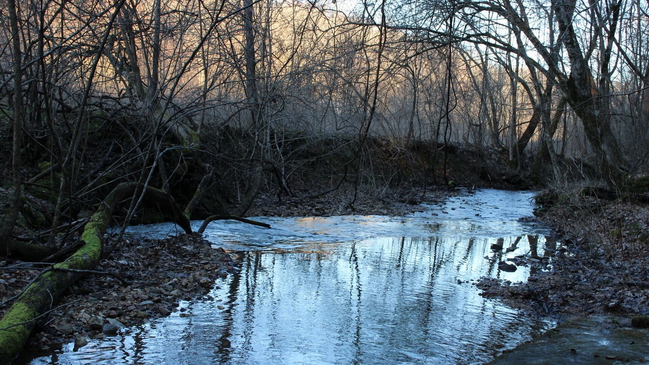 Photo of Outdoor in Olivehill