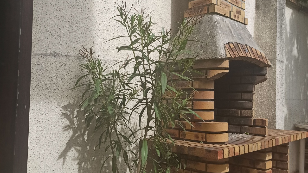 Photo of Outdoor in Saint-Denis