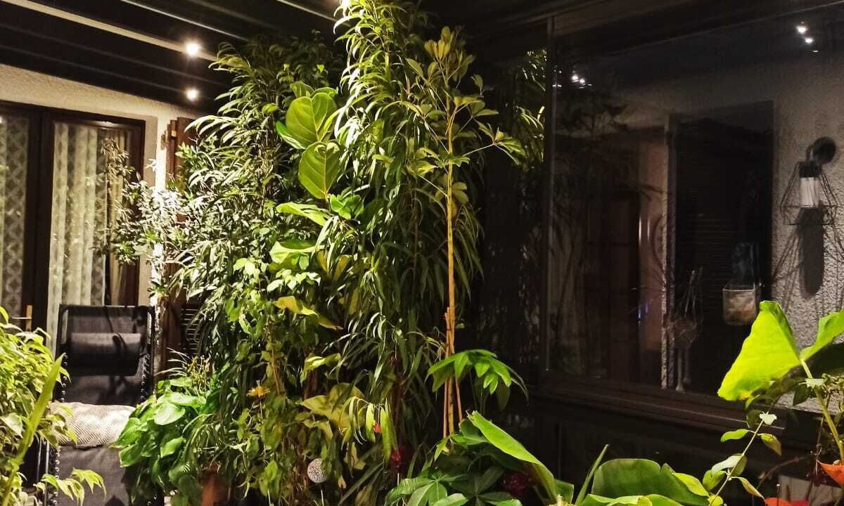 Photo of Outdoor in Saint-Denis