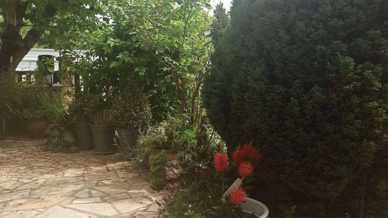 Photo of Outdoor in Saint-Denis