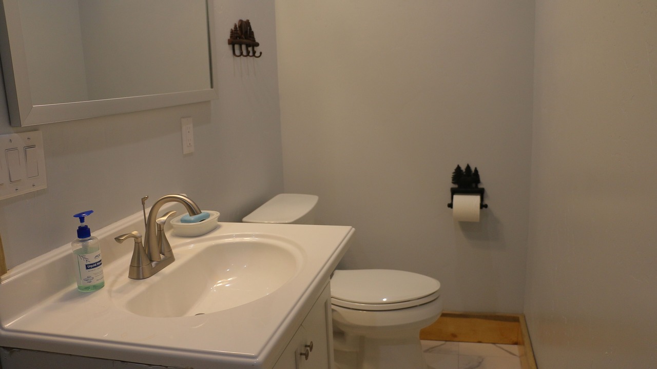 Photo of Bathroom in Twin Lakes