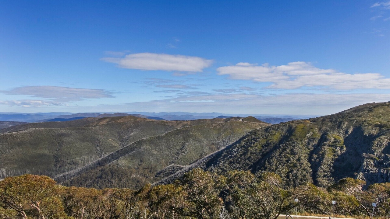 Photo of Others in Hotham Heights