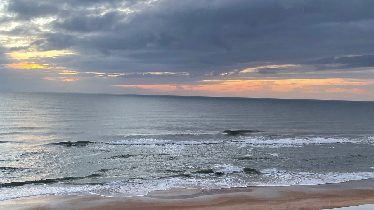 Photo of Others in Ormond-by-the-Sea