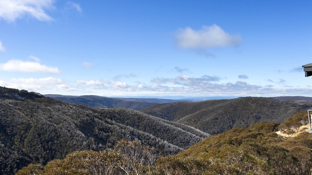 Photo of Others in Hotham Heights