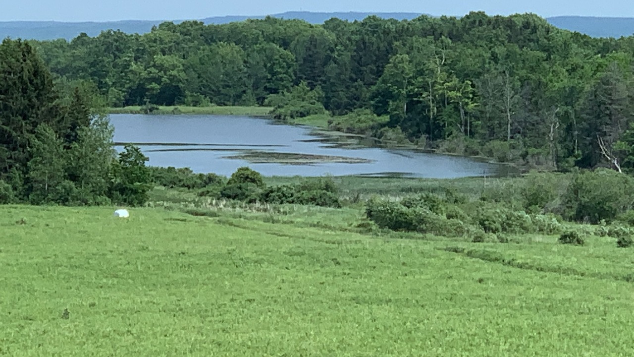 Photo of Others in Sloansville