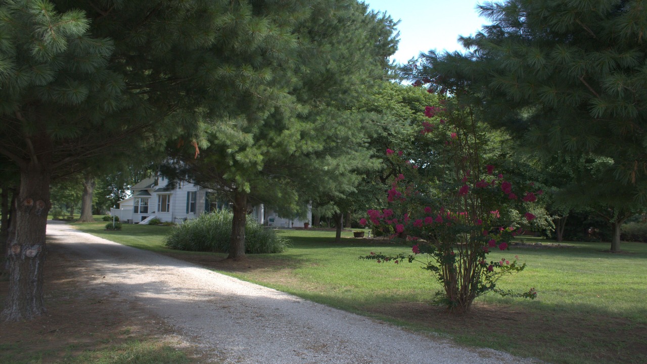 Photo of Outdoor in Waterloo