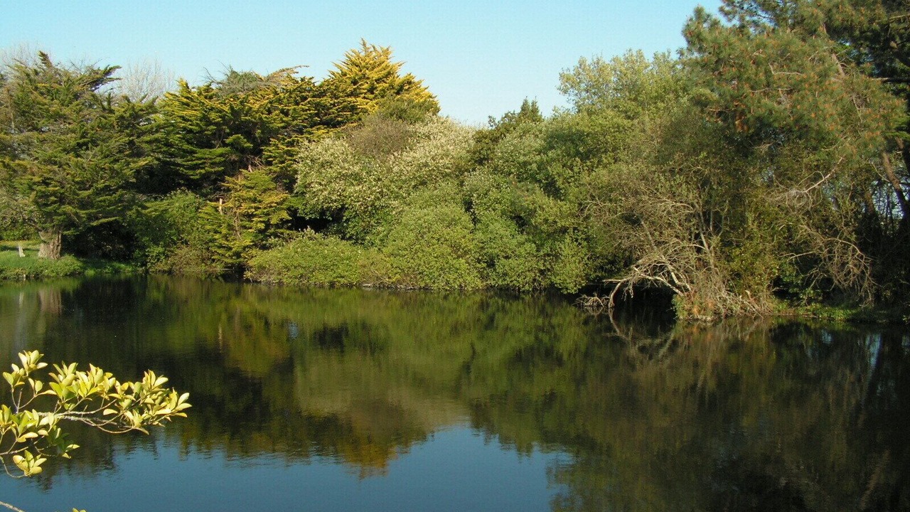 Photo of Outdoor in Batz-sur-Mer