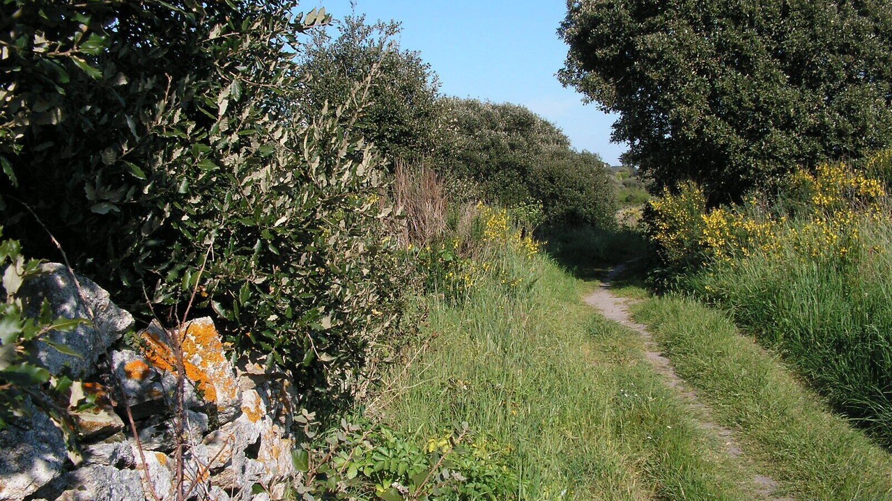 Photo of Outdoor in Batz-sur-Mer