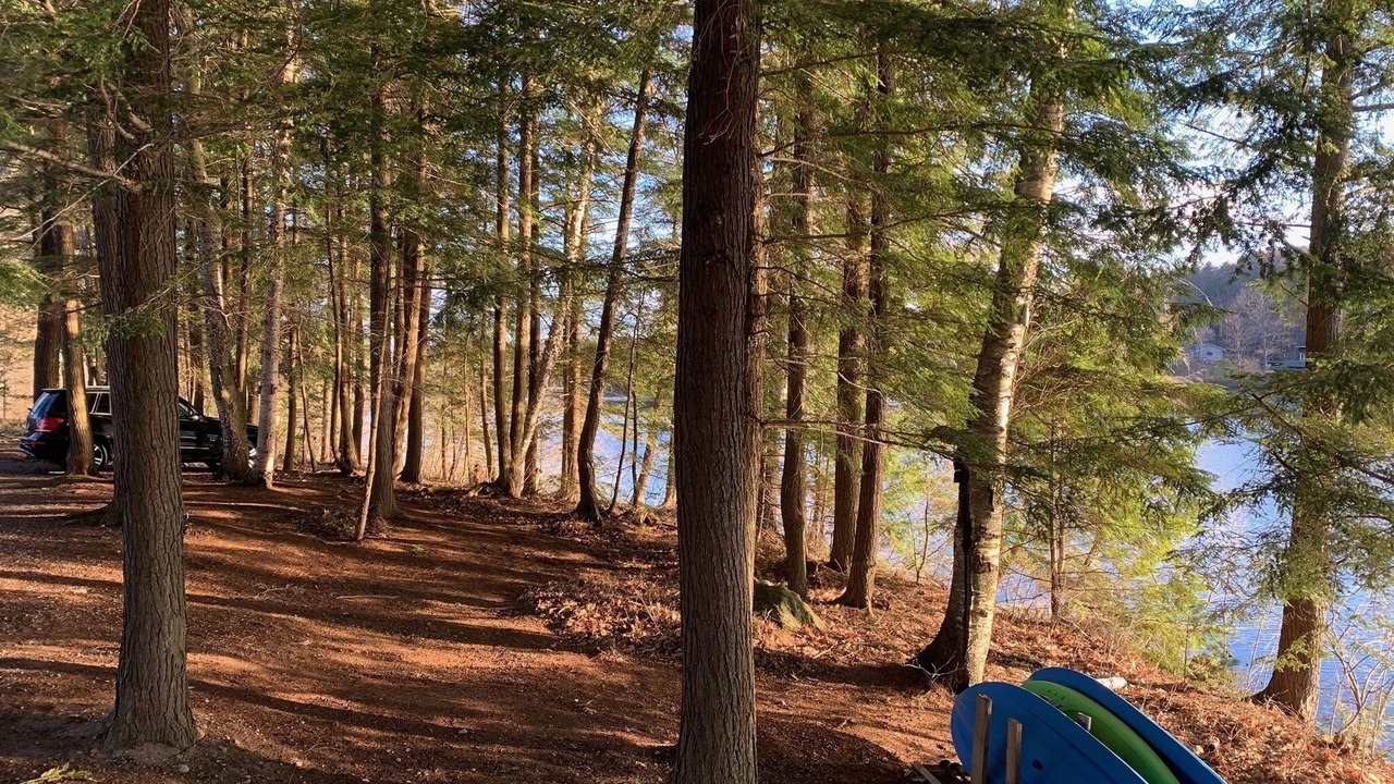 Photo of Outdoor in Port Carling