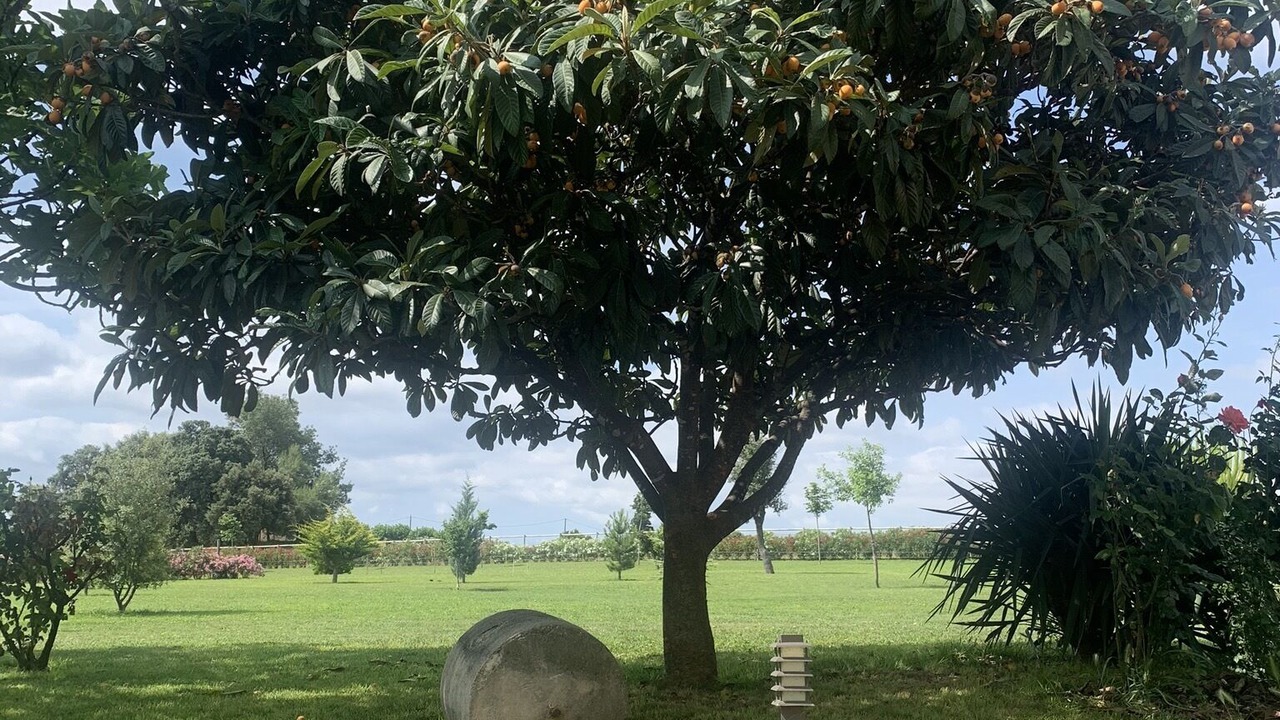 Photo of Outdoor in San Martin Sarroca
