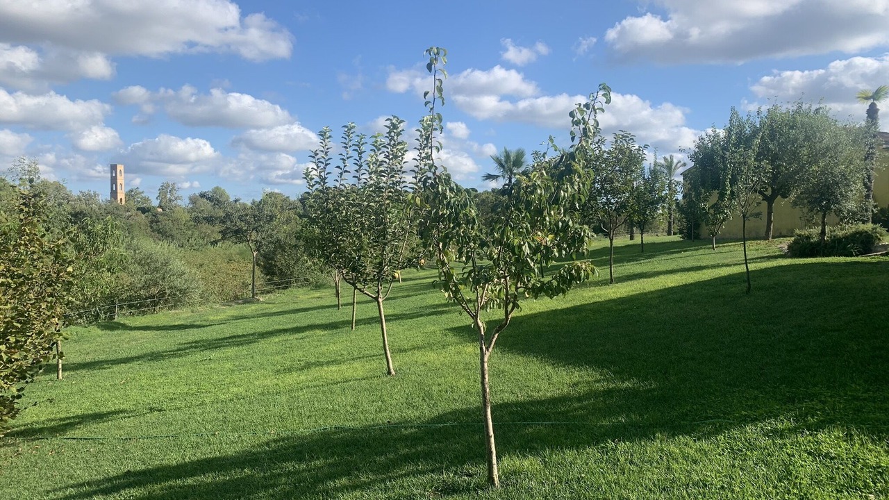 Photo of Outdoor in San Martin Sarroca