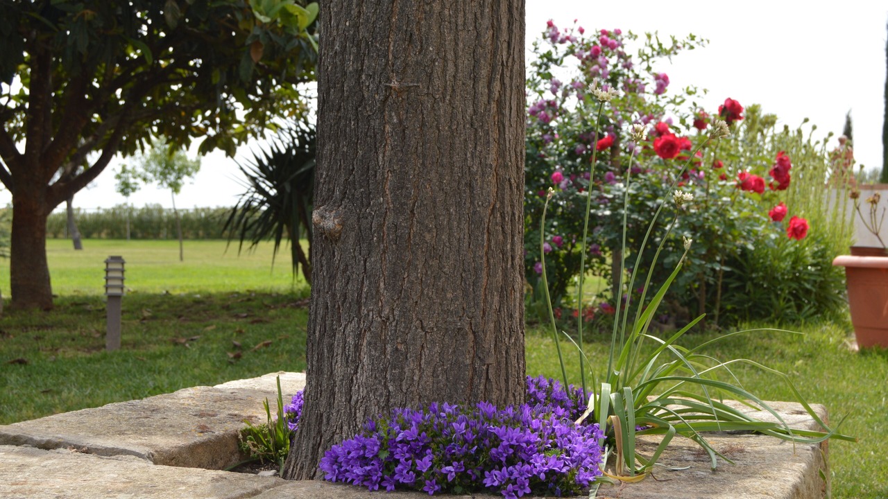 Photo of Outdoor in San Martin Sarroca