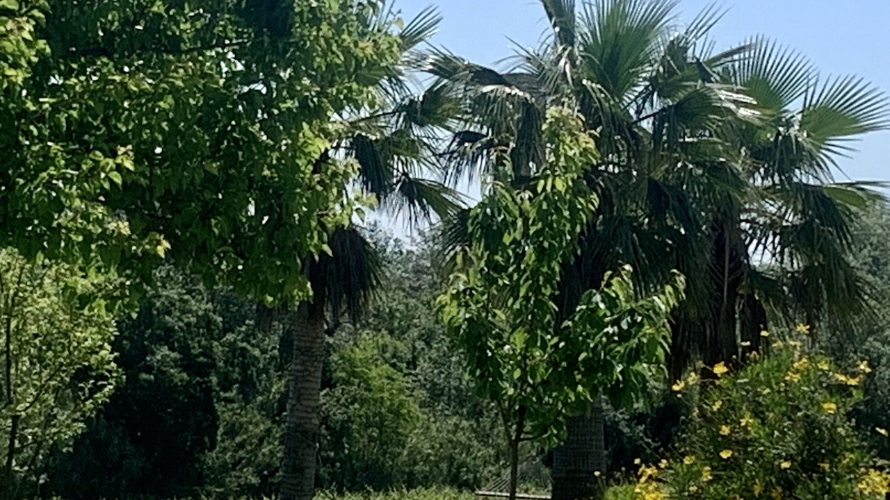 Photo of Outdoor in San Martin Sarroca