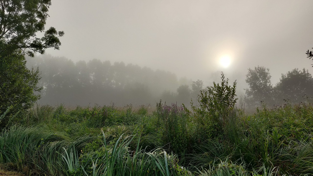 Photo of Outdoor in Oulmes