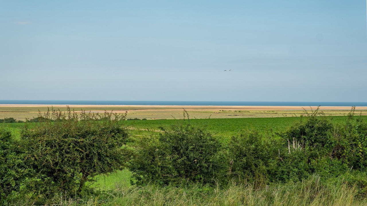 Photo of Others in Wells-next-the-Sea