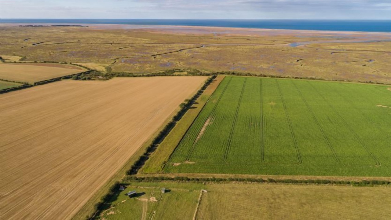 Photo of Others in Wells-next-the-Sea