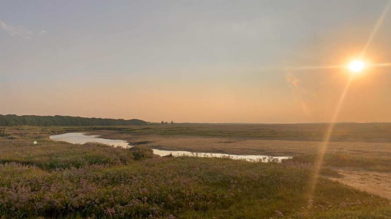 Photo of Others in Wells-next-the-Sea