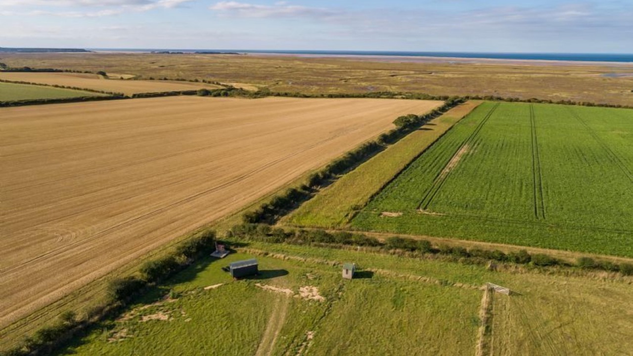Photo of Others in Wells-next-the-Sea